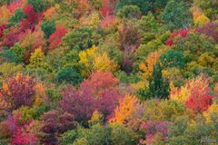 Colorful Fine Art Photographs that Capture the Splendor of Autumn