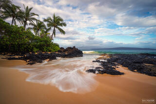 Maui Dreaming