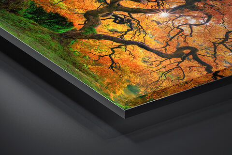 Gallery Ultra | TruLife® Acrylic Fine Art Print | Float Frame