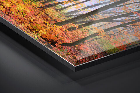 Museum Standard | Fujiflex Acrylic Fine Art Print | Float Frame