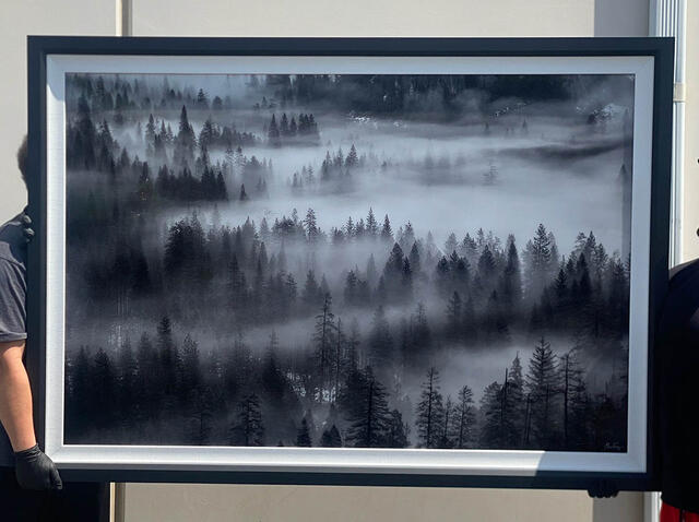 Whispering Pines Monochrome 40x60 Trulife Acrylic Framed