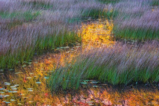 Abstract Nature Photography for Sale