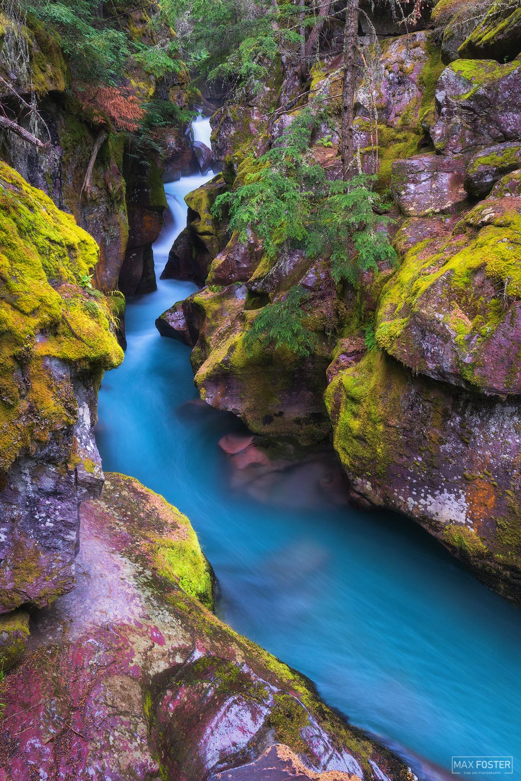 Bring nature into your home with Cerulean Serenade, Max Foster's limited edition photography print of Avalanche Creek in Glacier...