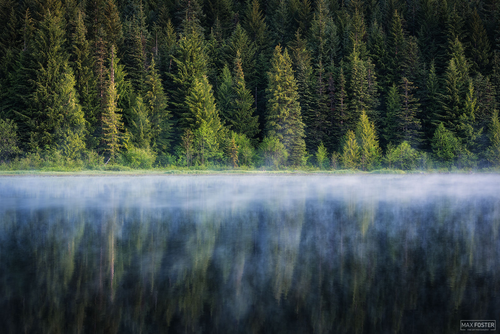 Breathe new life into your home with Emerald Essence, Max Foster's limited edition photography print of evergreen trees at Trillium...