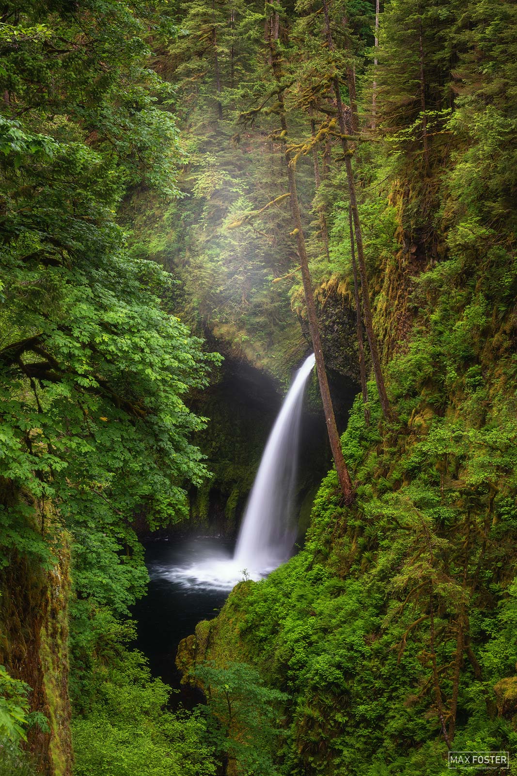 Bring nature into your home with Fairy Tail, Max Foster's limited edition photography print of Metlako Falls in Oregon from his...
