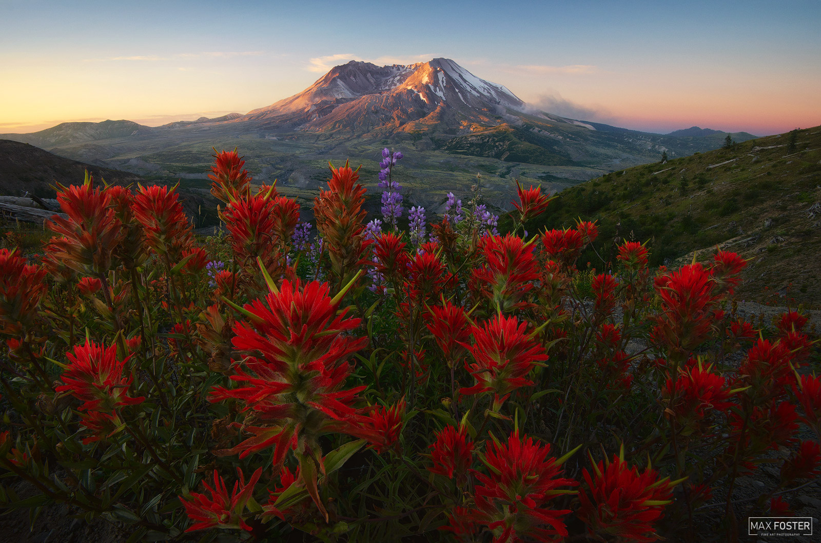 Bring your walls to life with Flower Possee, Max Foster's limited edition photography print of Mount St. Helens in Washington...