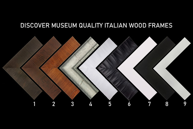 Fine Art Italian Wood Frames by ROMA and OMEGA