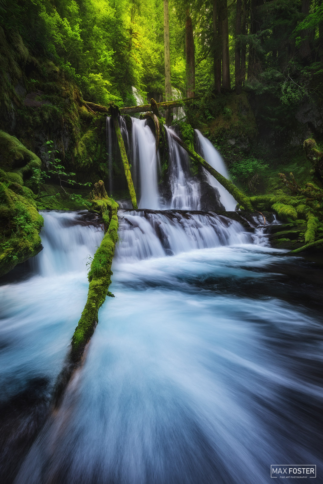 Elevate your space with Frigid Panther, Max Foster's limited edition photography print of Lower Panther Creek Falls in Washington...