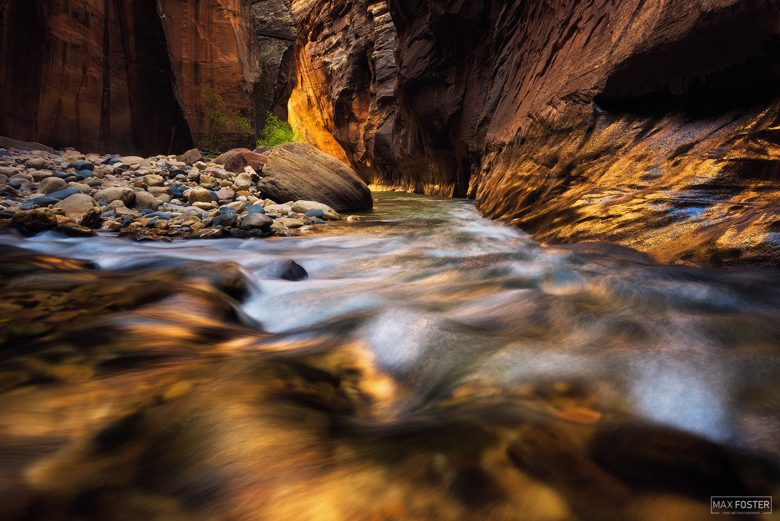 Bring your walls to life with Gold Rush, Max Foster's limited edition photography print of The Narrows in Zion National Park...