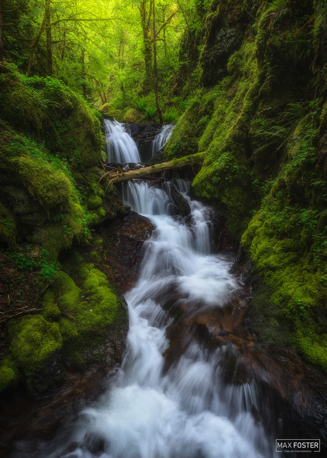 Bring nature into your home with Gorton Scramble, Max Foster's limited edition photography print of Gorton Creek Falls in Oregon...