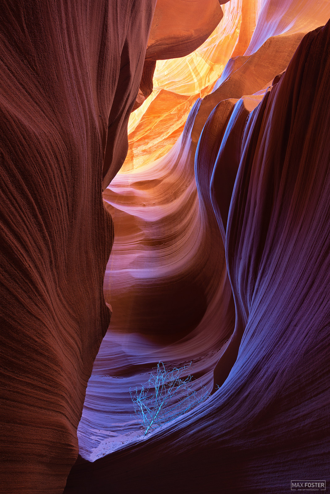 Bring nature into your home with Hidden Flame, Max Foster's limited edition photography print of a slot canyon in Page, Arizona...