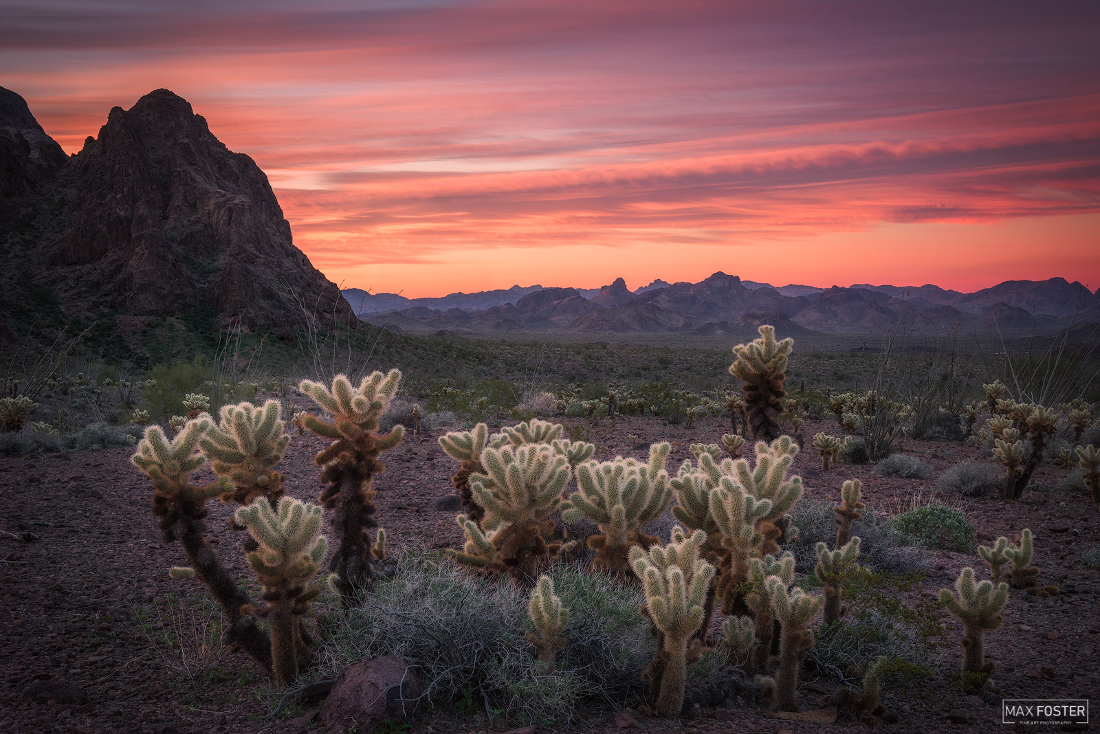 Refresh your space with In The Morning Light, Max Foster's limited edition photography print of Kofa National Wildlife Refuge...