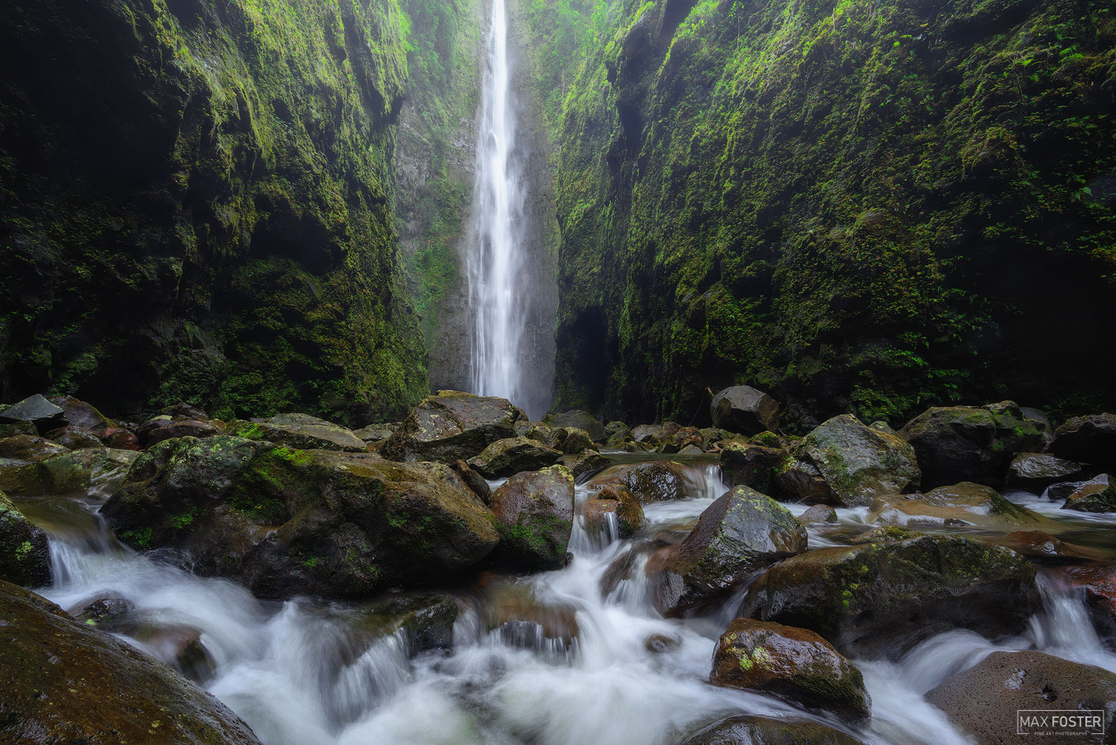 Elevate your space with Jungle Spirit, Max Foster's limited edition photography print of Secret Falls, Maui from his Hawaii gallery...