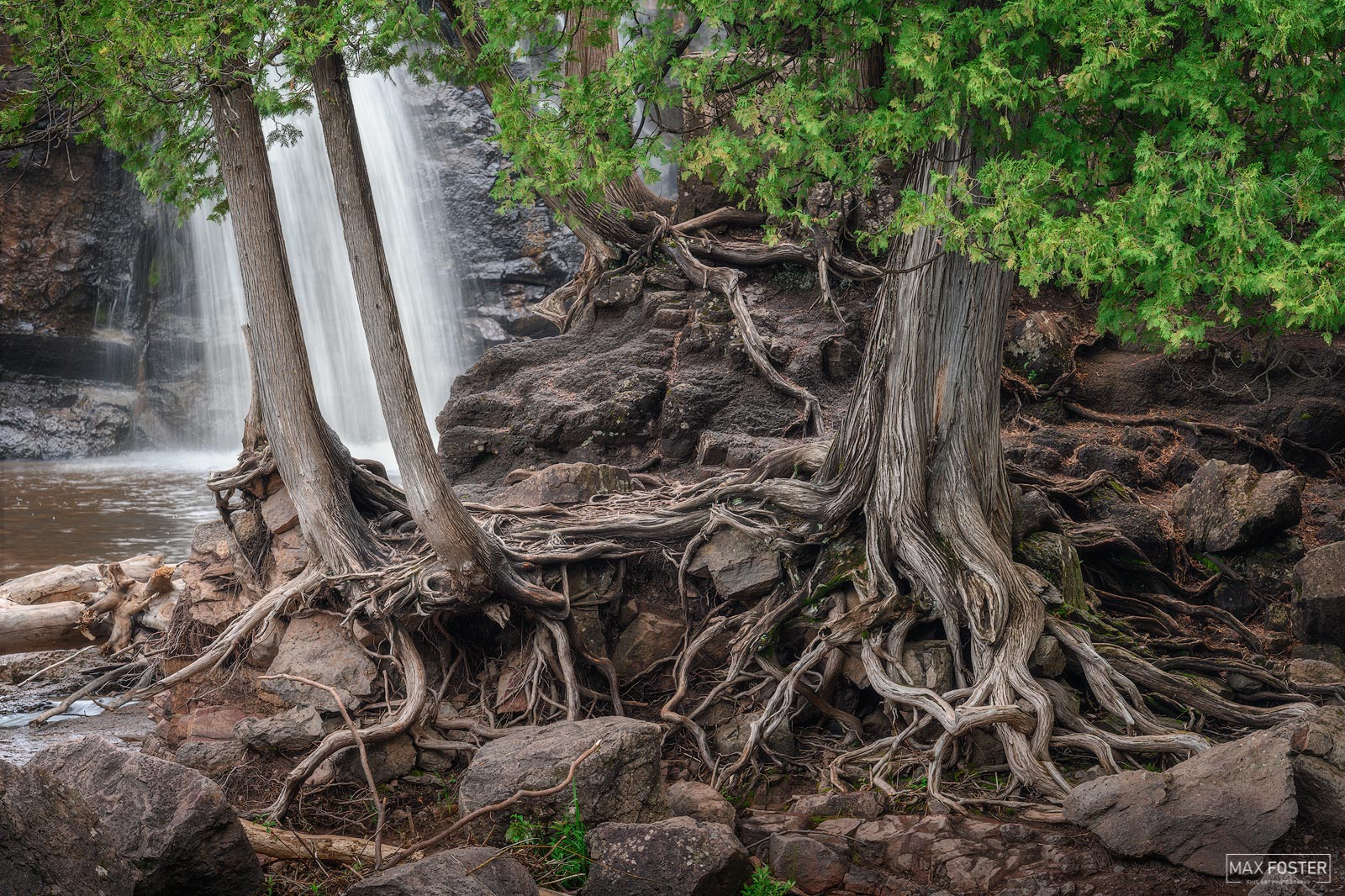 Elevate your space with My Roots Run Deep, Max Foster's limited edition photography print of Gooseberry Falls State Park from...