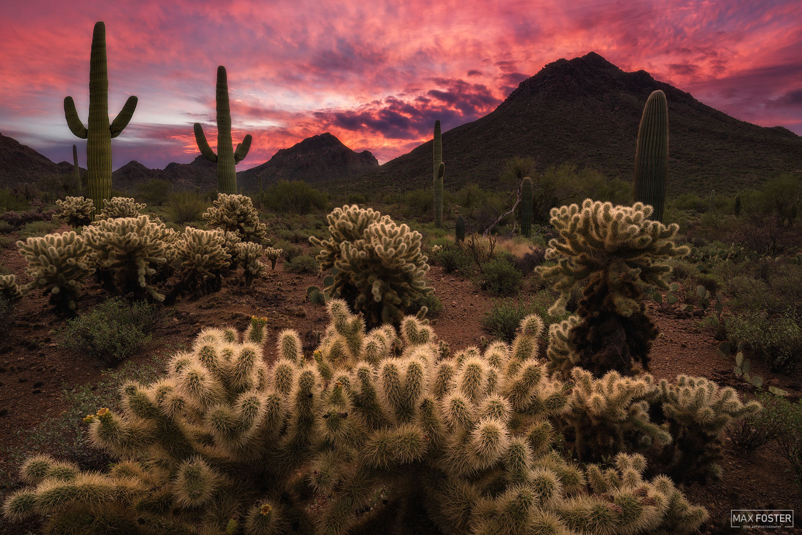 Elevate your space with Skyfire, Max Foster's limited edition photography print of the Tucson Mountain Park in Arizona from his...