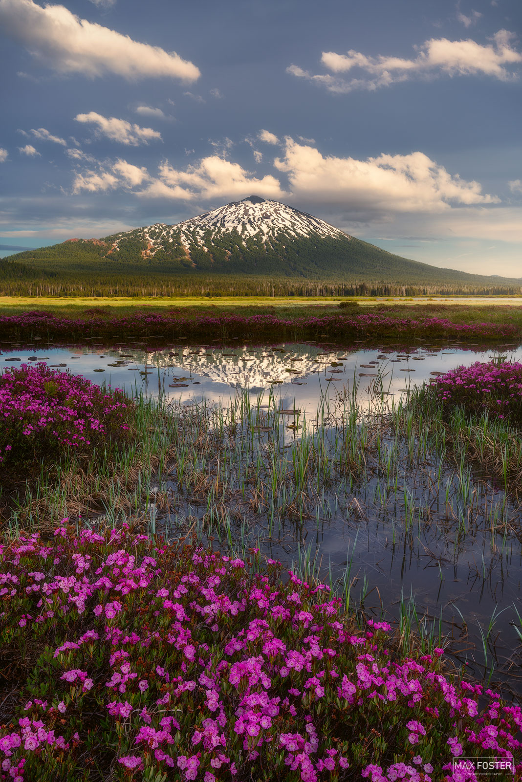Bring your walls to life with Sleeping Giant, Max Foster's limited edition photography print of wildflower meadows at Mount Bachelor...