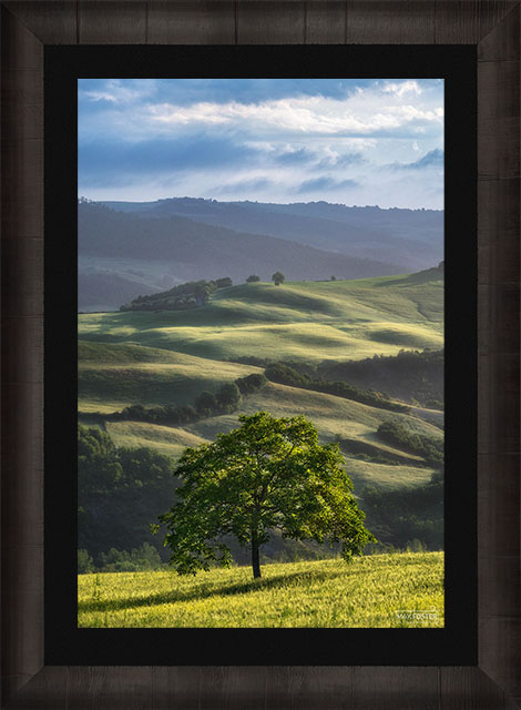 Gallery Ultra+ | TruLife® Lumachrome Acrylic Print | ROMA Frame print preview