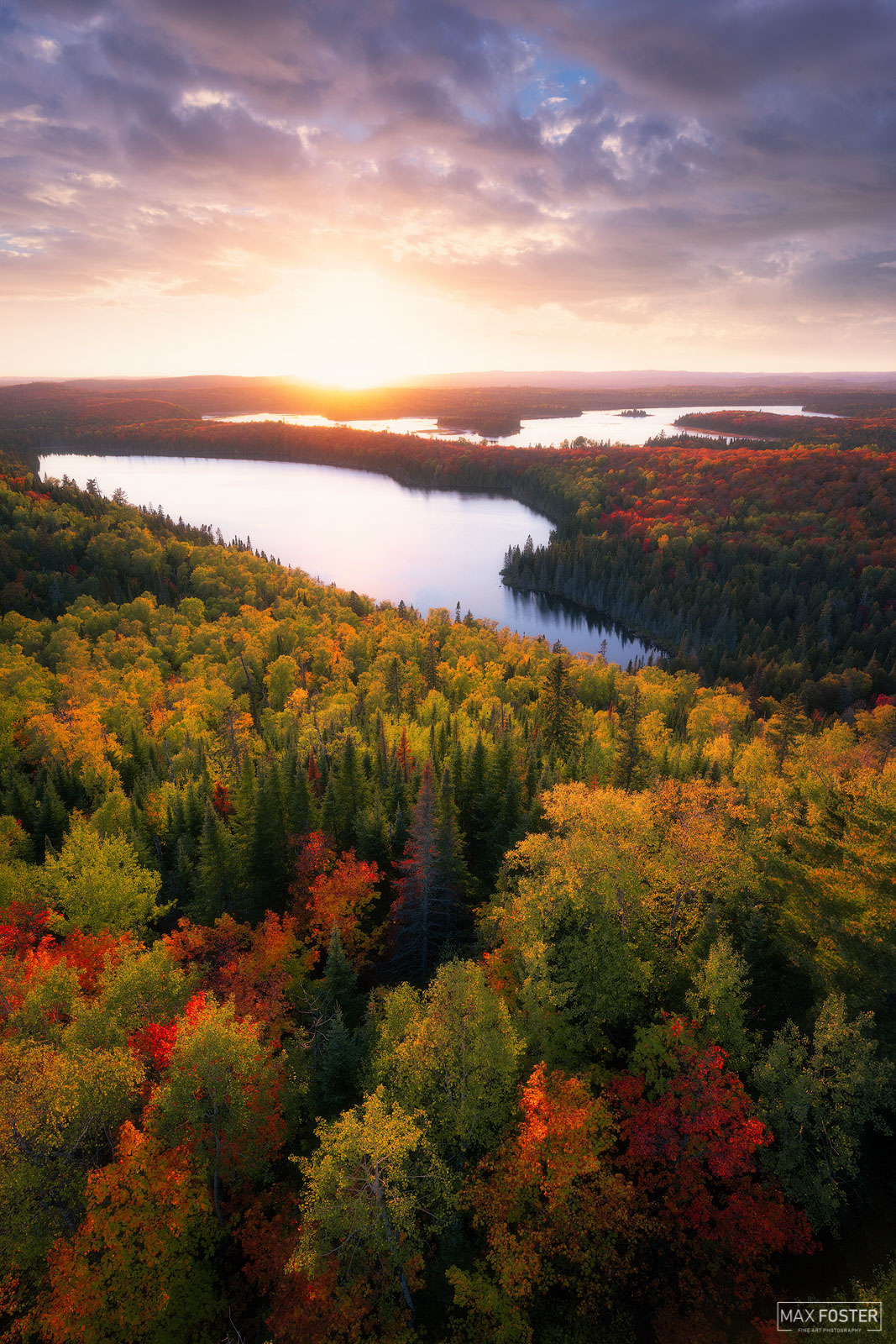 Elevate your space with Tower Hill, Max Foster's limited edition photography of Superior National Forest near Grand Portage from...
