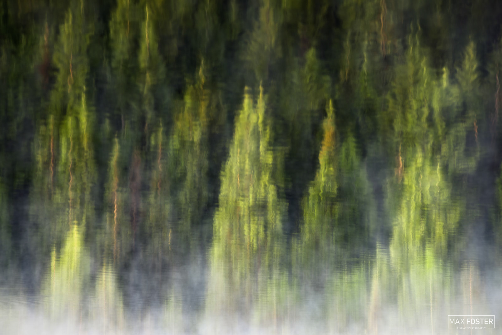 Bring nature into your home with Tranquility, Max Foster's limited edition photography print of evergreen trees reflecting in...