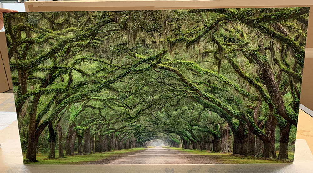 A 25x45 Gallery Ultra Trulife Acrylic Print of Tunnel Vision.